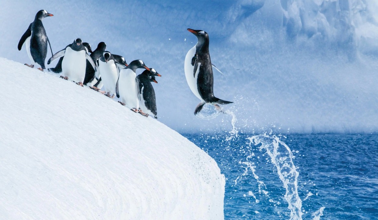 Antarctica Direct: Fly the Drake Passage 9-Day