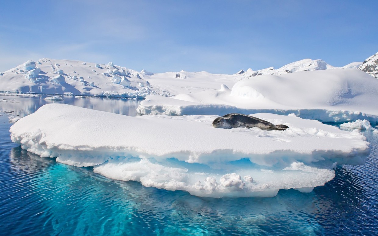 18 Days Luxury Antarctica & South Georgia Cruise – King George Island to Puerto Williams