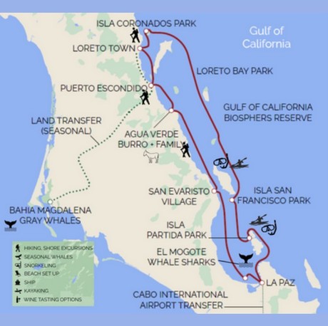 Map for Baja California's Whales & Sealife