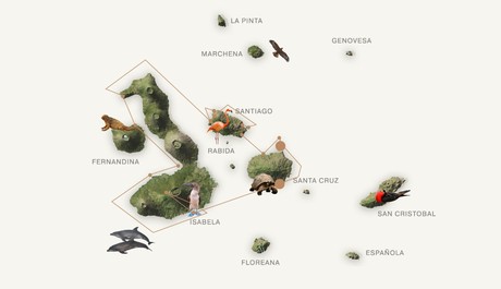 Map for Eminence Galapagos Luxury 7A Cruise