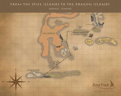 Map for SeaTrek from the Spice Islands to the Dragon Islands with Vincent, Coral Scientist & Pioneer