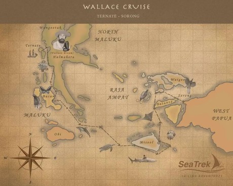 Map for SeaTrek in Search of Wallace and His Living Treasures with Dr George, Zoologist and Wallace Expert