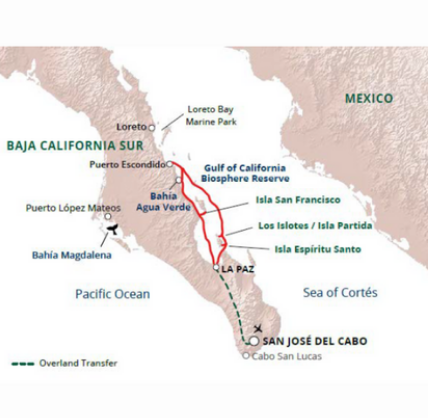 Map for Whale Sharks, Whales, and Mobulas - Baja, Mexico Cruise aboard Safari Voyager