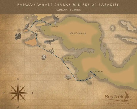 Map for Papua’s Whale Sharks And Birds Of Paradise